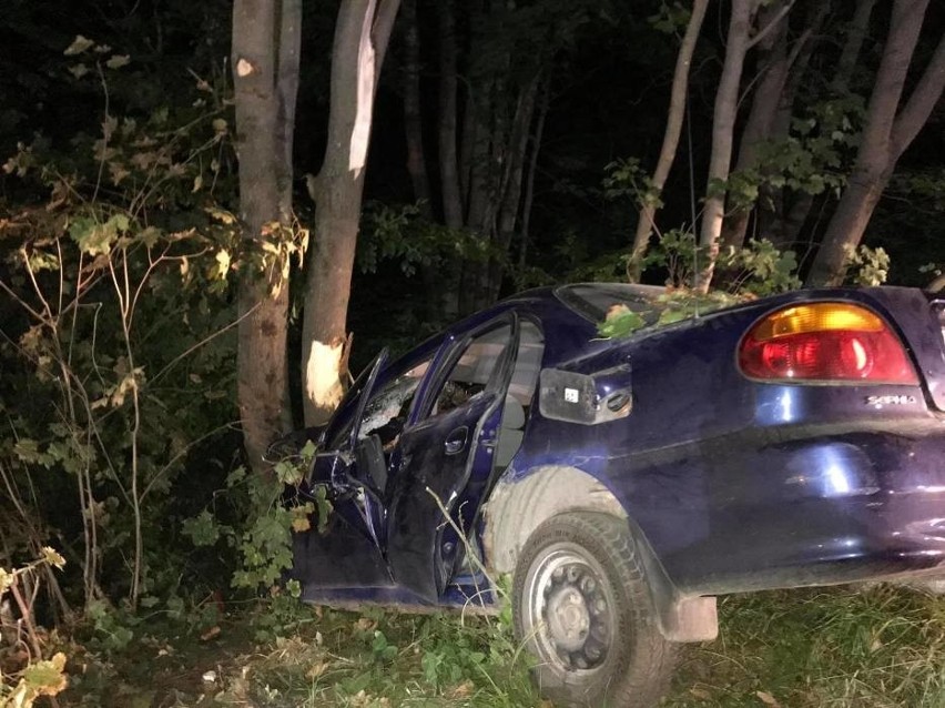 Śmiertelny wypadek w Kleszczewie. Samochód osobowy uderzył w drzewo. Kierujący 51-latek zmarł w szpitalu [zdjęcia]