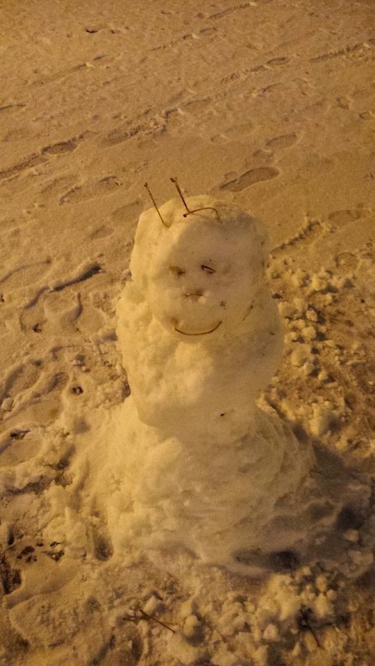 Dziś po raz pierwszy tej zimy spadł śnieg. Białostockie...