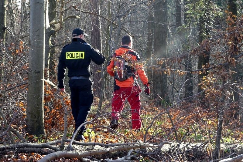 Starszy mężczyzna poszedł do lasu na grzyby i nie wrócił...