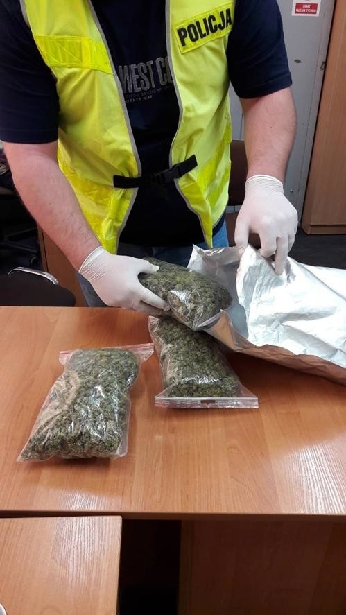 Ponad pół kilograma marihuany znaleźli nyscy policjanci u 31-letniego mieszkańca powiatu