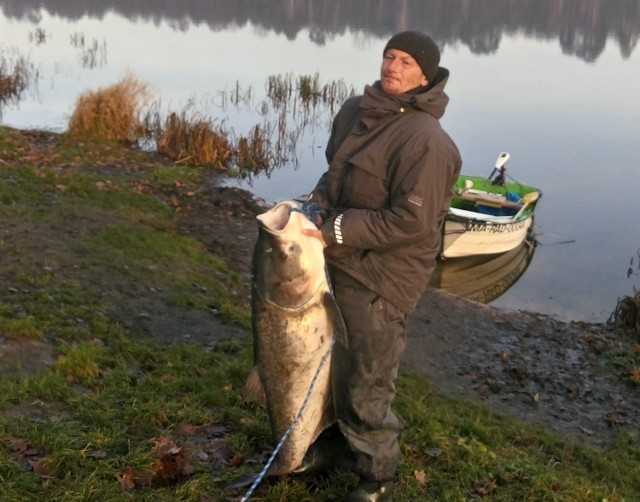 Jarosław Osiński tołpygę ważącą 36,5 kilograma złowił w ostatnią sobotę w zalewie w Siczkach pod Radomiem.