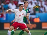 Przez mecz Polska-Irlandia padły pszczoły