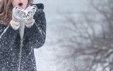 Zima 2018/2019 POGODA. Kiedy będzie zima? Prognoza pogody - długoterminowa. Jaka będzie zima? [19.10]