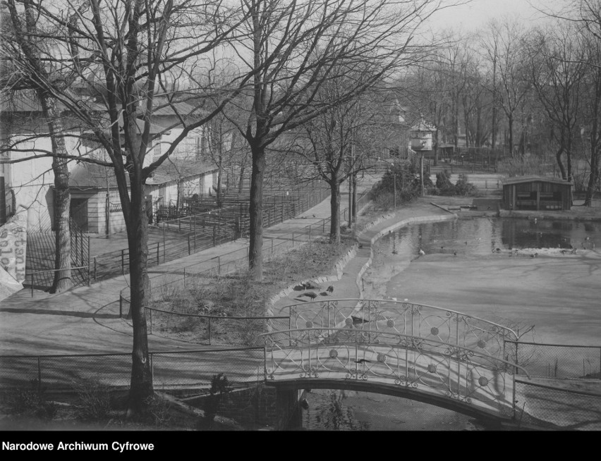 Początki zoo w Poznaniu sięgają 1871 roku. Jednak oficjalnie...