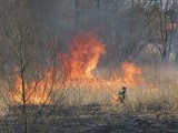 Trawy i liście w ogniu