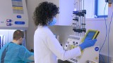 Naukowcy w Sosnowcu opracowują innowacyjną terapię adoptywną szpiczaka mnogiego. To podwójna broń w walce z nowotworami krwi