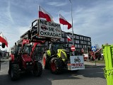 Wielki protest rolników w Kielcach. Centrum miasta było całkowicie zablokowane przez kombajny i obornik