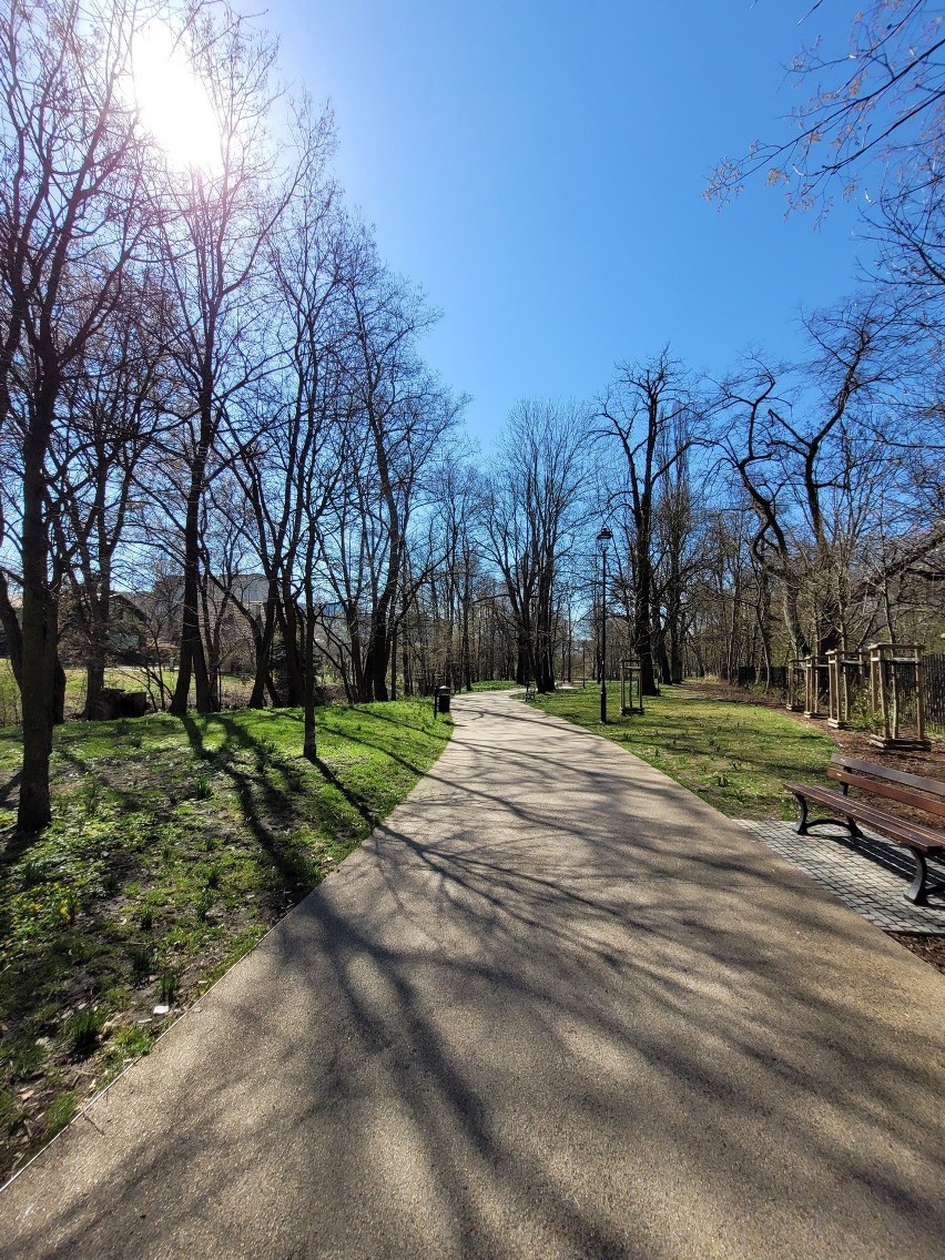 W ostatnich latach Park Jerzmanowskich przeszedł...