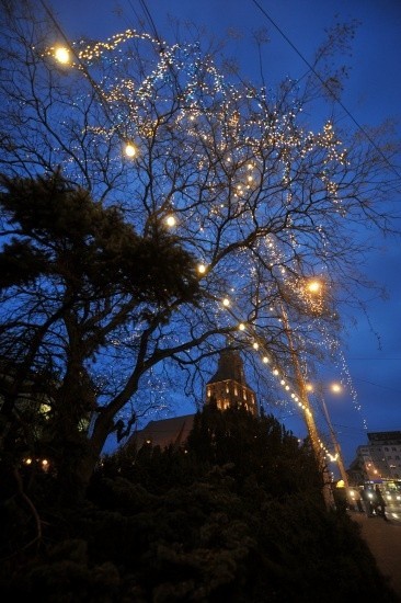 Świąteczna iluminacja Gorzowa