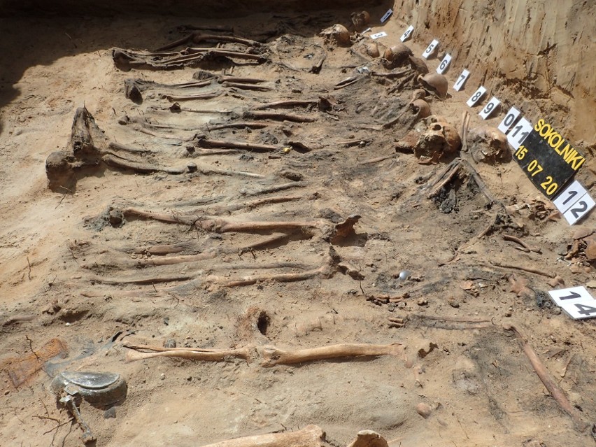 Ludzkie szczątki w zapomnianych mogiłach spoczywały od II...