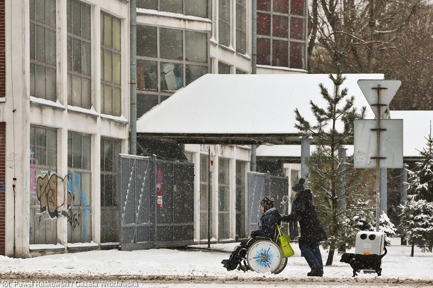 Śliski chodnik? We Wrocławiu urzędników to nie obchodzi