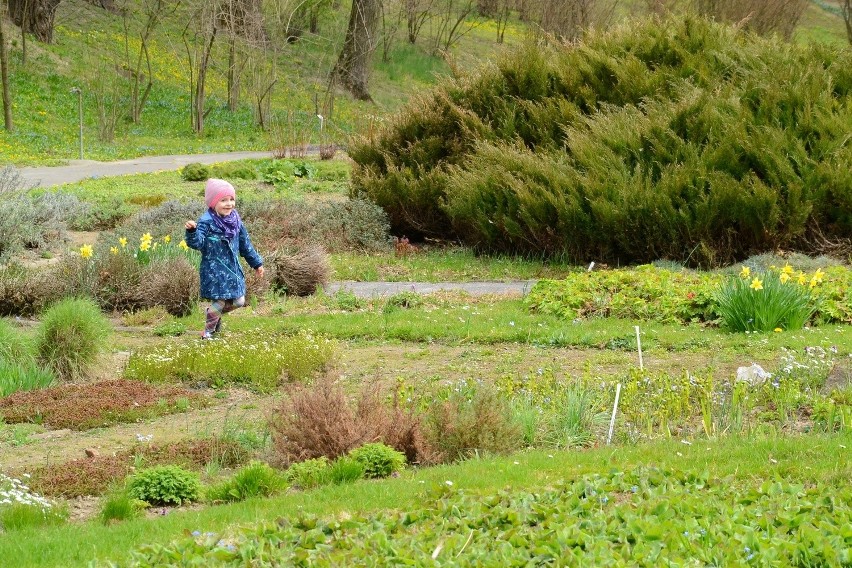 Ogród Botaniczny w Lublinie już otwarty dla mieszkańców