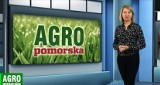 Agro Pomorska odcinek 19. Wizyta u gęsi, inspektor o środkach i Polagra-Premiery [wideo]