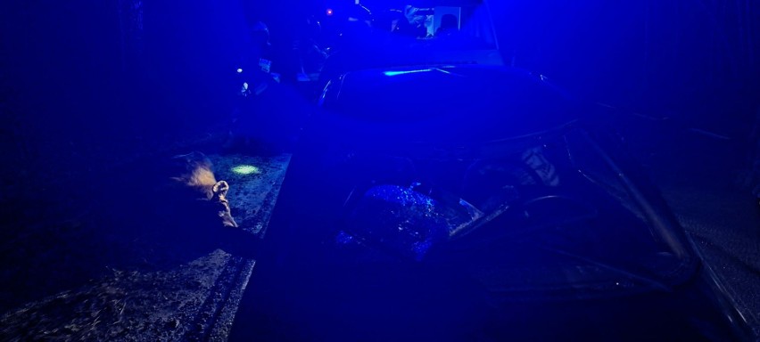 Zderzenie z łosiem na drodze w Czarnowie. Zwierzę wbiegło na drogę tuż przed jadący samochód 25.02.2024