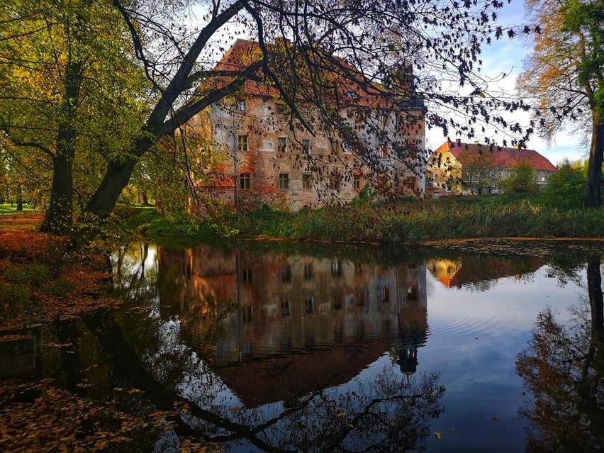 Kolorowe liście i jesienne słońce sprzyjają wizerunkowi...