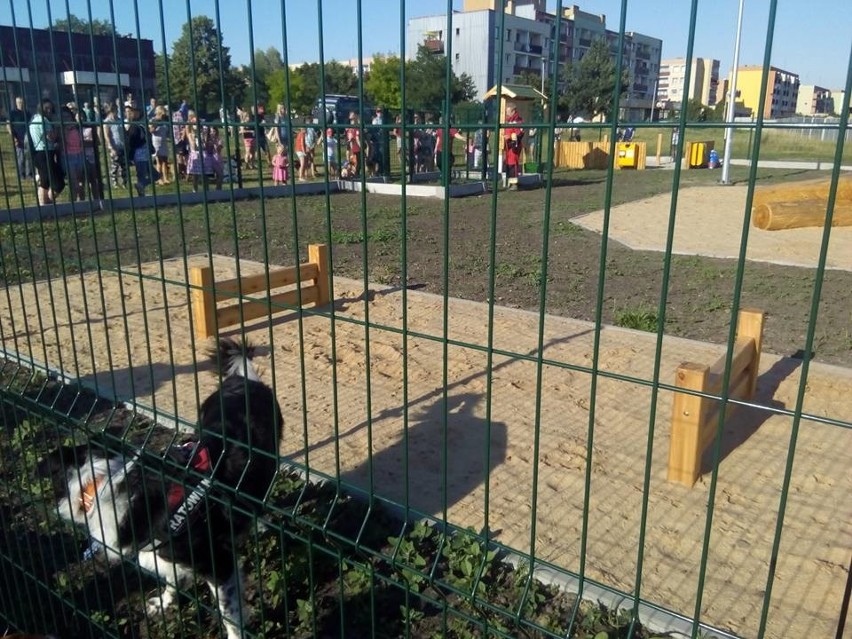 Otwarcie psiego parku w Kluczborku.