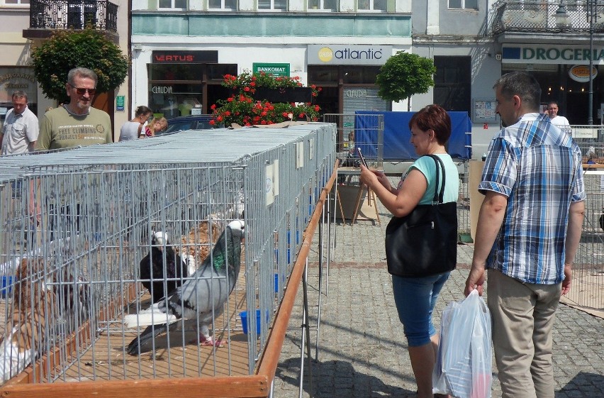 Podczas sobotniego jarmarku ekologicznego można było kupić...