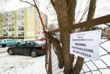 Drzewa przy SP nr 46 w Bydgoszczy zostaną wycięte. Mieszkańcy Kapuścisk są zaniepokojeni