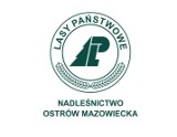  Nadleśnictwo Ostrów Mazowiecka                           