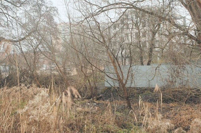 Na razie widok z nowych mieszkań na Wilczaku nie będzie najciekawszy, ale to się jeszcze zmieni