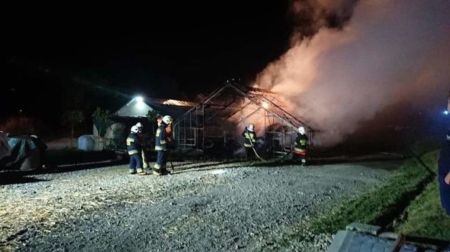 W szklarni, która została podpalona w nocy ze środy na czwartek, gospodarze gromadzili siano dla krów na zimę