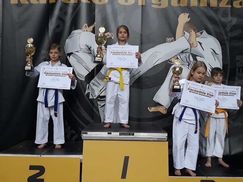 Międzynarodowy Turniej Karate Carpathia Cup w Rzeszowie. Medale sandomierskich karateków (ZDJĘCIA Z TURNIEJU)