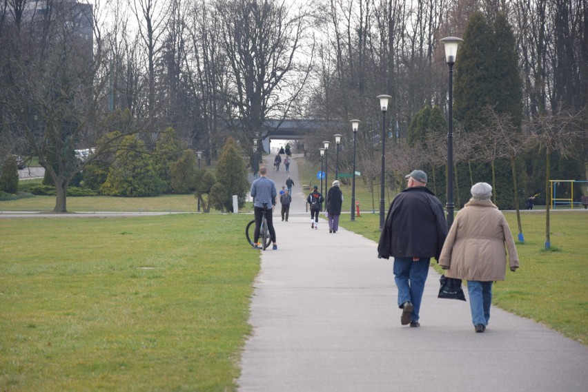 Park Śląski pozostaje otwarty. Można wybrać się też do...