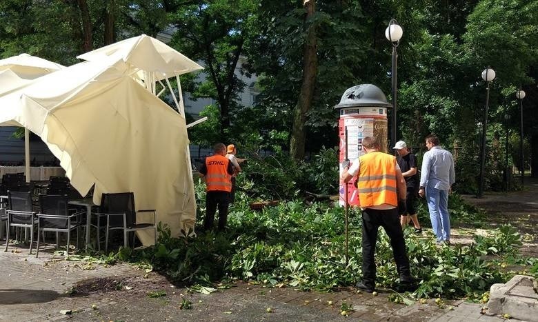 Oto skutki ostatniej burzy i nawałnicy, która przeszła przez...