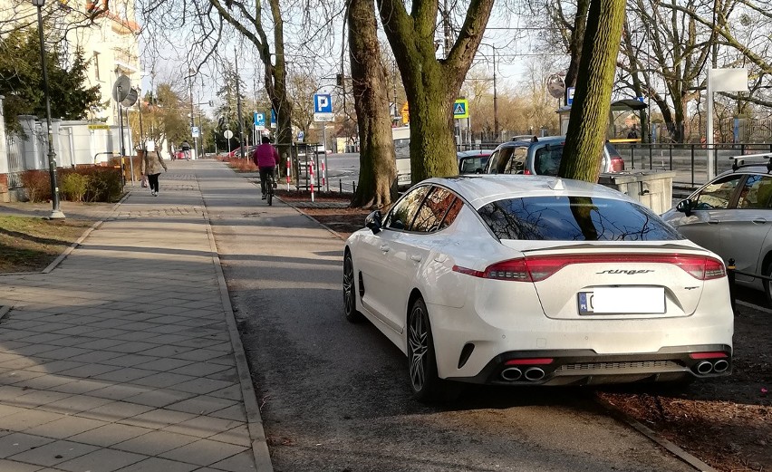 Tak "parkują" w Toruniu! Kolejni "Janusze parkowania" w...
