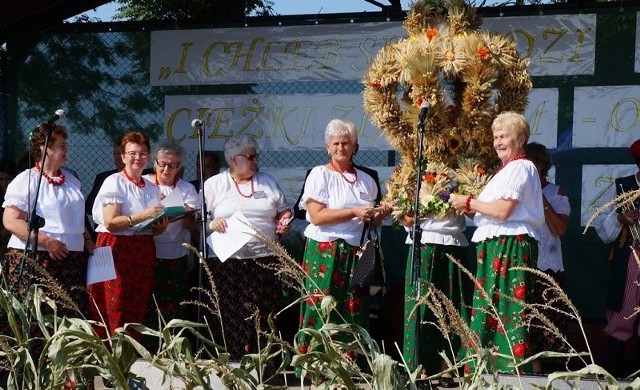 Mieszkańcy gminy Złota oraz przybyli goście, w niedzielę 25 sierpnia podziękowali za tegoroczne zbiory. Dożynki Gminy Złota 2019 rozpoczęła msza święta w intencji rolników oraz ich rodzin, którą odprawił ksiądz proboszcz Jacek Miernik. Tradycyjne w kościele, przed ołtarzem ustawiono wieńce dożynkowe przygotowane przez sołectwa z gminy. Po nabożeństwie korowód dożynkowy na czele ze starostami dożynek przeszedł na pobliski stadion. W tym roku zaszczytną funkcję starostów pełnili Bożena Urbańska z Miernowa oraz Krzysztof Antos z Kostrzeszyna.Starostowie dożynek przekazali na ręce gospodarza gminy – wójta Tadeusza Sułka okazały bochen chleba. Wójt obiecał dzielić go tak, aby nikomu go nie zabrakło. Później wręczono nagrody dla starostów dożynek za wzorcowe prowadzenie swoich gospodarstw.  Przeprowadzono konkurs na najpiękniejszy wieniec - pierwsze miejsce przyznano wykonanemu przez Chroberskie Stowarzyszenie Kobiet. Podczas części artystycznej święta plonów zaprezentowali się uczniowie szkół z Chrobrza, Miernowa i Złotej. Na scenie wystąpił także zespół „Przystań”, „Złocowianki”, „Olbryszanie”, „Pełczyszczanie” oraz wokaliści Bartłomiej Adamczyk oraz Bartek Warda. Występy przeplatane były quizami i konkursami z nagrodami, a ogrom emocji przyniósł tak zwany trójbój dożynkowy. Niezapomniany występ dała „Gwiazda wieczoru”, zwycięzca popularnego telewizyjnego show Must Be The Music - Conrado Yanez. Filipińczyk z pochodzenia, właściciel najbardziej aksamitnego głosu w Polsce, nazwanego polskim Louisem Armstrongiem! Wieczór zakończyła zabawa pod gwiazdami z zespołem Revers.Całą imprezę poprowadzili sekretarz gminy Złota Ireneusz Gołuszka wraz ze współprowadzącą Agnieszką Rasińską.