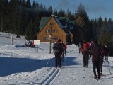 Wybrane miejsca do narciarstwa biegowego w Polsce