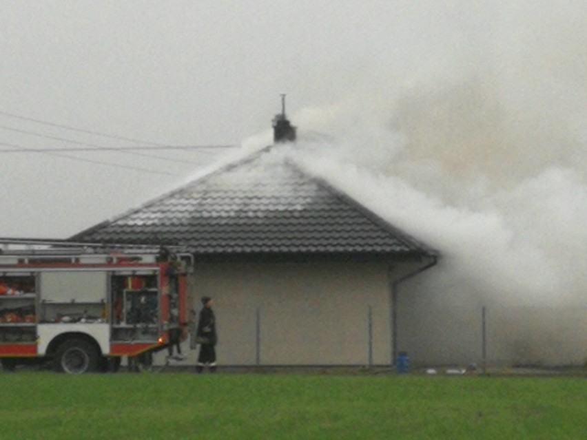 Przed godziną 12 wybuchł pożar w domu w Witoszynie. Na...