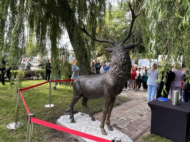 W Mielnie odsłonięto pomnik jelenia, który wrócił na cokół po gruntownym remoncie