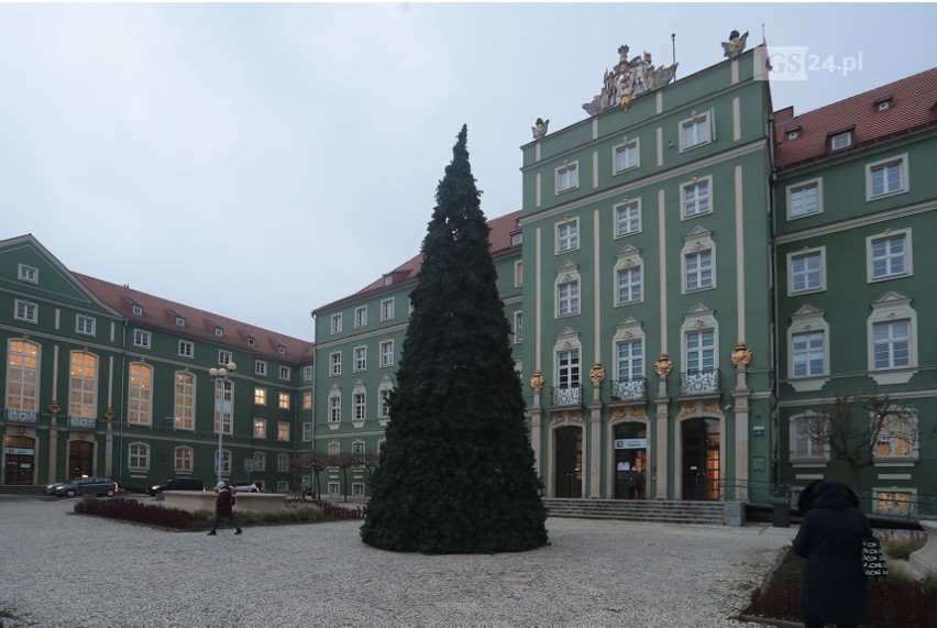 Choinka przed Urzędem Miasta Szczecin