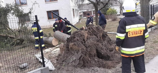 Skutki wichur usuwali między innymi strażacy z Ochotniczej Straży Pożarnej w Radzanowie.