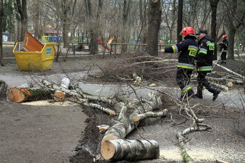 Skutki wichury we Wrocławiu. Wciąż wszystkie zastępy strażaków w akcji (ZDJĘCIA)