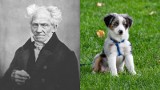 Urodziny Artura Schopenhauera w Oruni. Plan wydarzenia, miejsce i data
