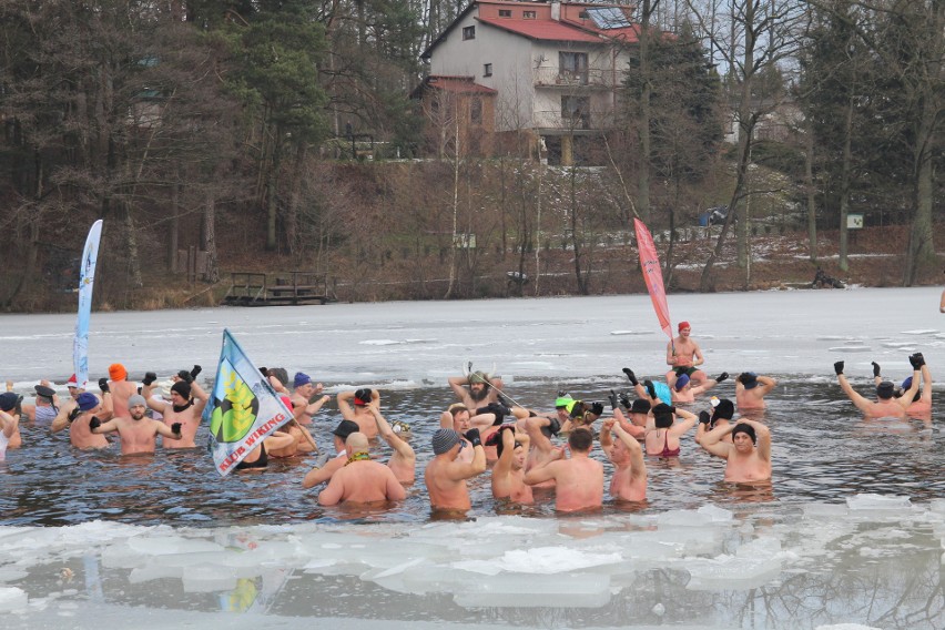 Spotkanie morsów nad jeziorem w Korzybiu (zdjęcia, wideo)