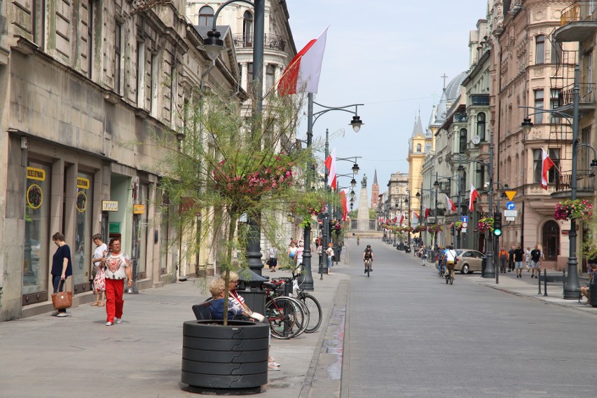 Wierzby purpurowe stanęły w donicach na ulicy Piotrkowskiej. Na plac Dąbrowskiego donice nie wrócą  