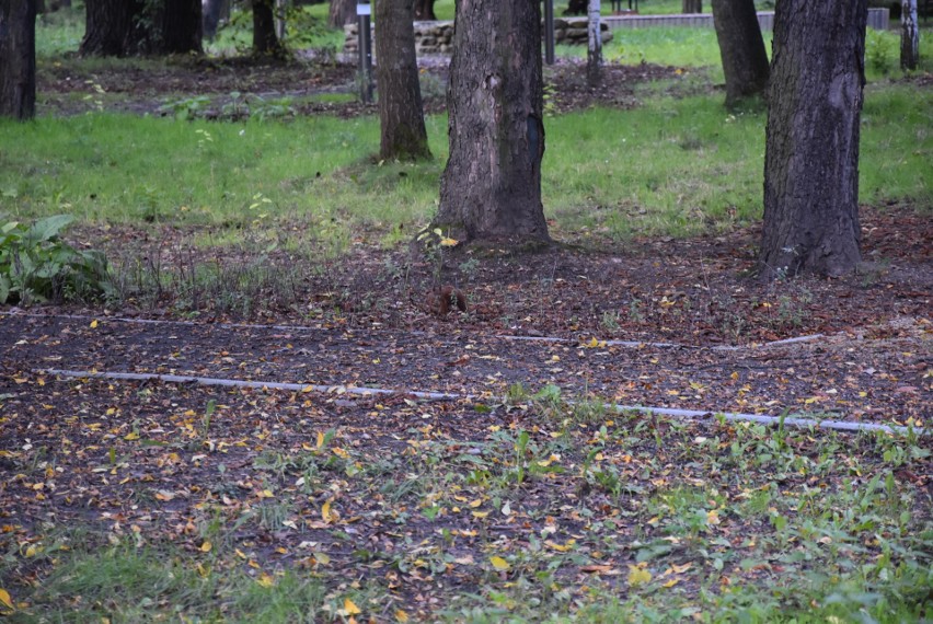 Park Bioróżnorodności wczesną jesienią to świetne miejsce na...