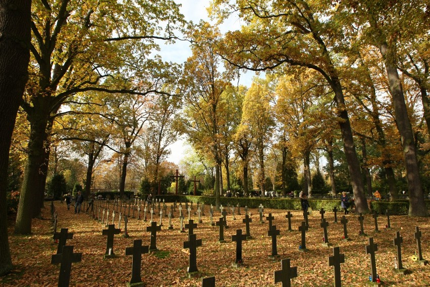 Święto Zmarłych Cmentarz Osobowicki