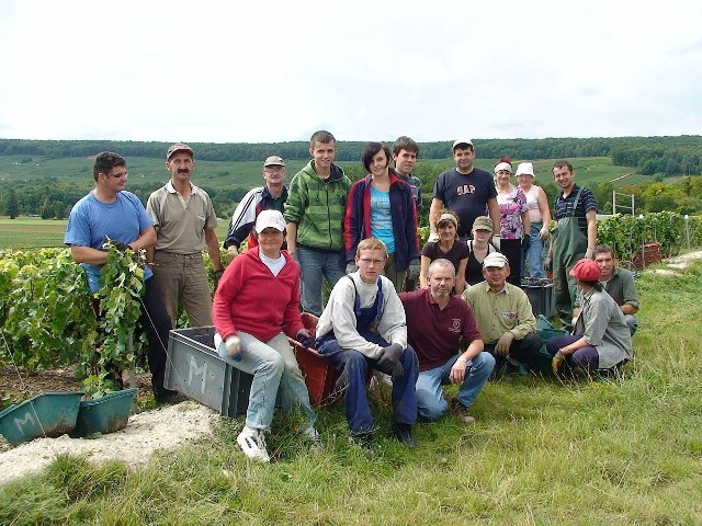 Franck Meteyer (siedzi trzeci od lewej ze swoimi gośćmi z Wielunia, którzy co roku niemal w tym samym składzie przyjeżdżają na winobranie.