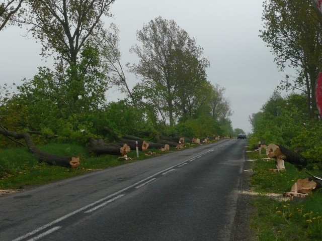 Inwestycję na drodze 214 rozpoczęła w ubiegłym roku wycinka przydrożnych drzew. Kierowcy nową trasą mogą pojechać już za kilkanaście dni.