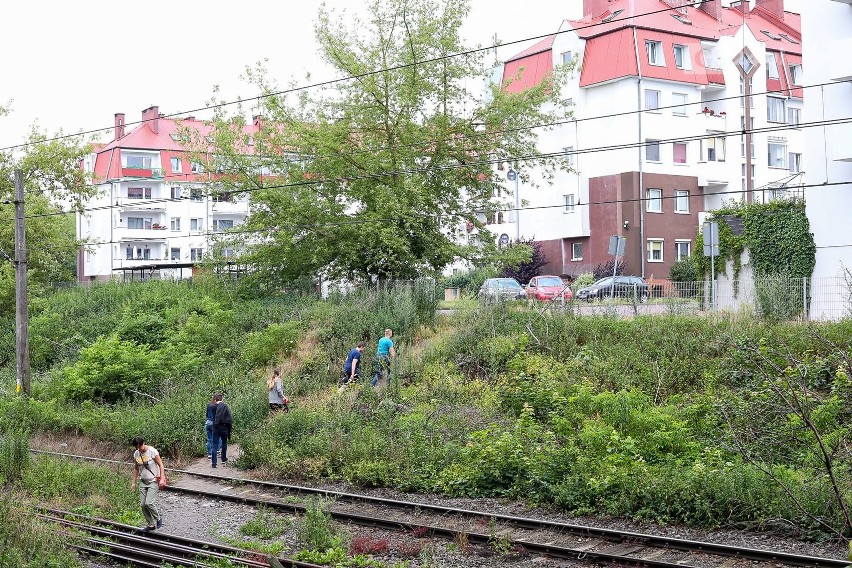 Szczecińska Kolej Metropolitalna. Zastanawiają się, gdzie zrobić przejścia przez tory