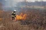 Gmina Sułkowice. Apele nic nie dają, znów płoną trawy