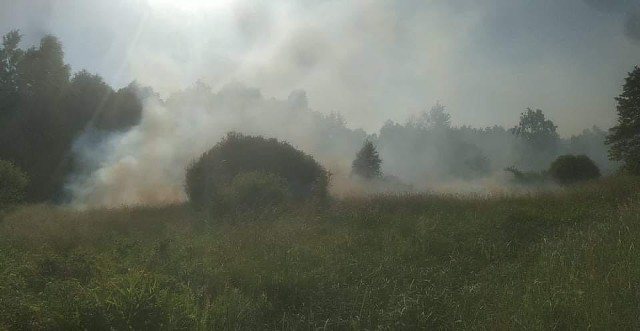 W poniedziałek, 21 czerwca strażacy ze Słupi Koneckiej o godzinie 16:50 zostaliśmy wezwani do pożaru w miejscowości Zaostrów w gminie Słupia Konecka. Zgłaszający widział duże zadymienie. Po dotarciu na miejsce zdarzenia okazało się, że palą się nieużytki rolne o powierzchni około  0,5 hektara. Oprócz strażaków ze Słupi w akcji brali udział również ich koledzy z jednostki z Pilczycy.Zobacz więcej na kolejnych slajdach >>>