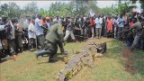 Krokodyle polują na ludzi. Co miesiąc zabijają dziesięciu (wideo)