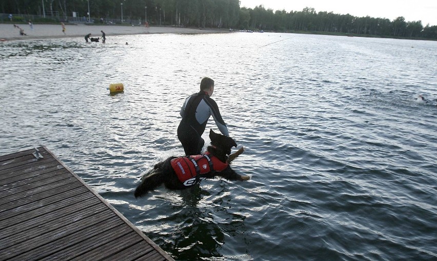 Psy ratownicze ćwiczą na Pogorii III w Dąbrowie Górniczej