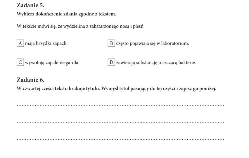 Sprawdzian trzecioklasisty 2015. IBE bada kompetencje - język polski [ARKUSZE]