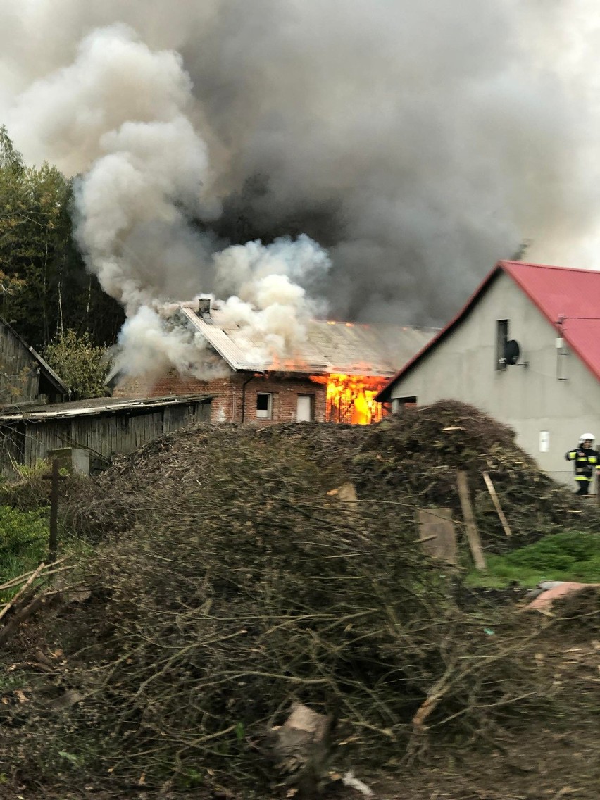 Do pożaru doszło w niedzielę po południu w Tarnobrzegu -...